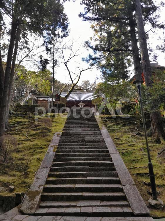 霊山寺 階段,霊山寺,寺の写真素材