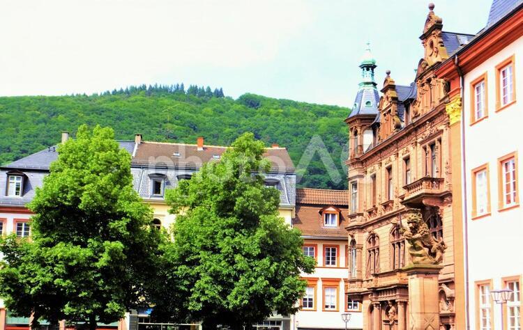 ハイデルベルクの風景５ ドイツ,ハイデルベルク,春の写真素材