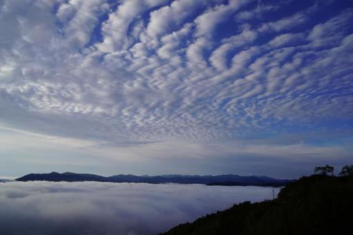 雲海 雲海の写真