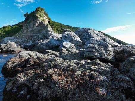 Photo, rhinophyma, cape, peninsula, 