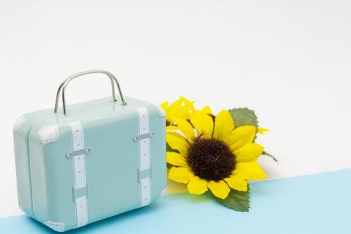 Photo, sunflower, summer, bag, 