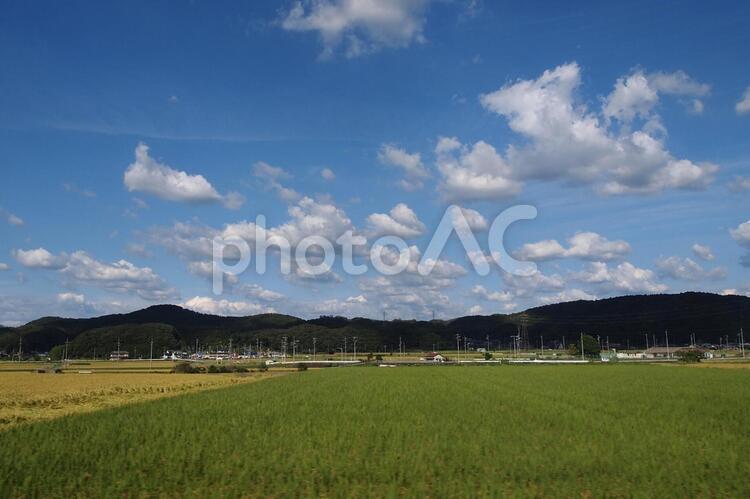 田舎の田んぼと空 田舎,農村,風景の写真素材
