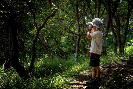 ＜人物＞森の中で玩具の双眼鏡を覗く男の子 子供,双眼鏡,森の写真素材