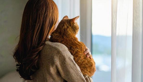 室内でネコを抱いて窓から景色を眺める女性 室内でネコを抱いて窓から景色を眺める女性の写真