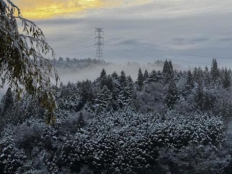 雪景色 風景,冬,白の写真素材