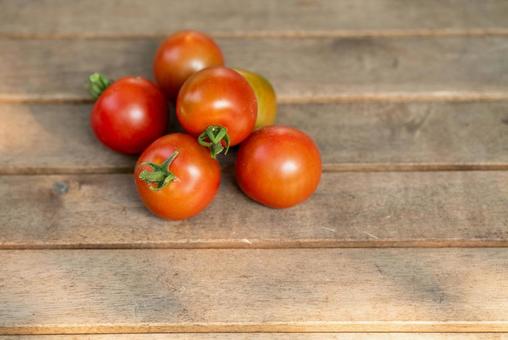 ミニトマトの収穫 ミニトマトの収穫 ミニトマト,トマト,野菜の写真素材