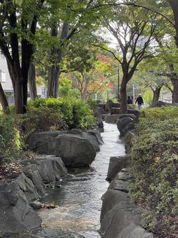 神田川10月：神田上水公園の小川 縦の写真
