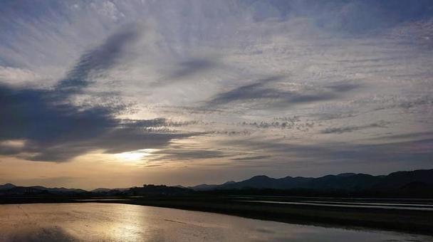 水田と夕日の写真