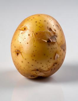 白い背景に皮付きのじゃがいもの写真