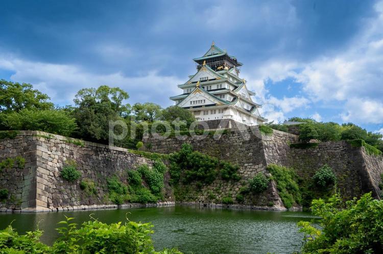 大阪　大阪城　天守閣 大阪城,オオサカ,城の写真素材