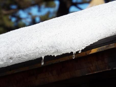 雪溶け 兼六園,冬の兼六園,雪の写真素材