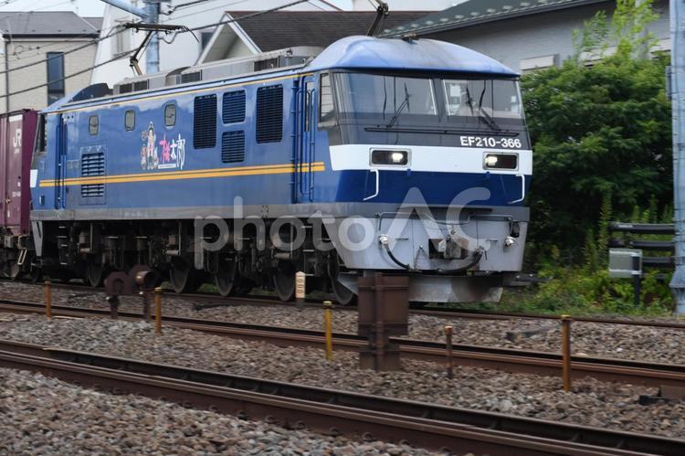 東海道線　鎌倉（客貨）踏切 東海道線,鎌倉（客貨）踏切,鉄道の写真素材