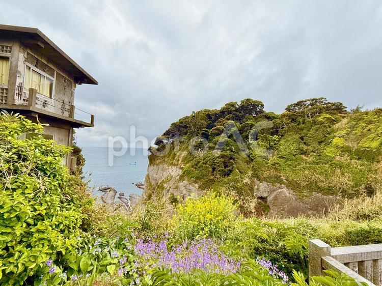 江ノ島の鮮やかな花々と相模湾の絶景 空,海,江ノ島の写真素材