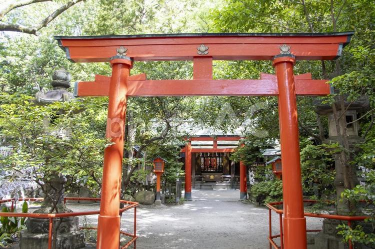 御器所八幡宮 御器所八幡宮,名古屋市昭和区,神社の写真素材