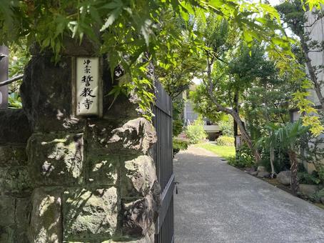 誓教寺 表札 誓教寺 表札の写真
