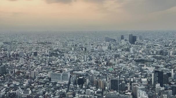 東京の風景 東京の風景の写真