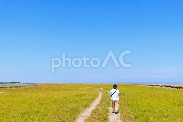 青空の下、まっすぐに伸びる道 道,一本道,歩くの写真素材