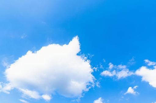 青空に浮かぶ積雲 青空に浮かぶ積雲の写真