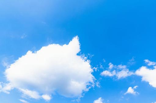 青空に浮かぶ積雲 雲,空,青空の写真素材