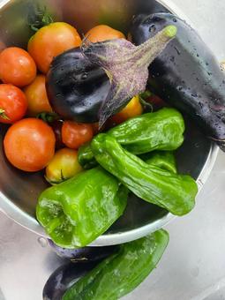 夏野菜 夏野菜 夏,食欲,なすの写真素材