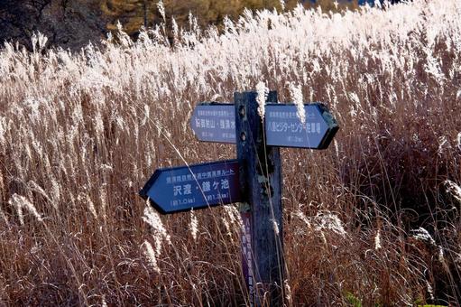 指導標 方角,道しるべ,案内の写真素材