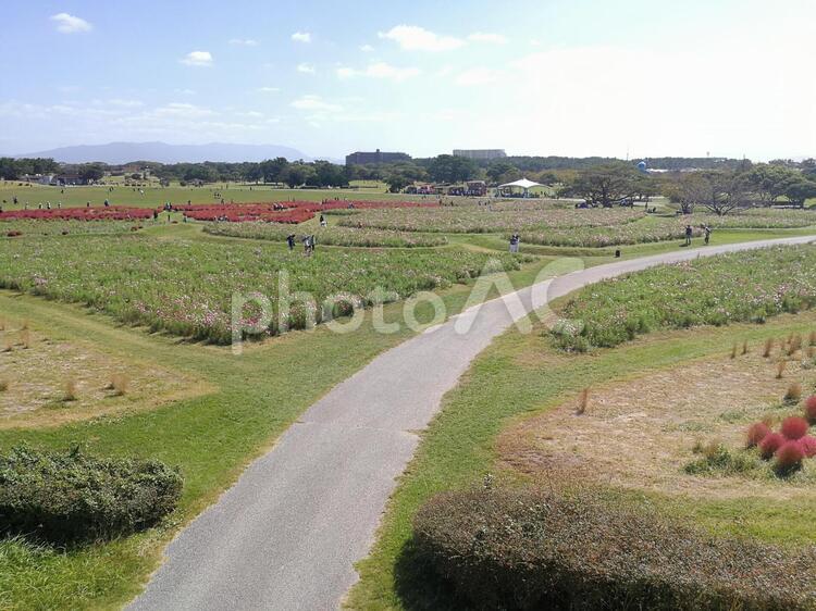 広大な平野に一本の道があるのは人の道のように例えられる 道,公園,平野の写真素材