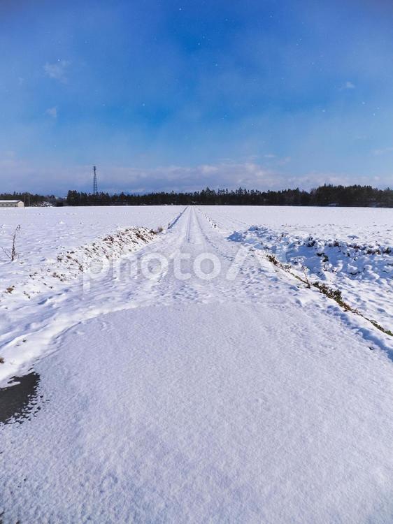 雪が積もった真っすぐな農道の風景 雪,農道,雪景色の写真素材
