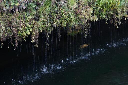 忍野八海 田舎,山梨県,忍野八海の写真素材