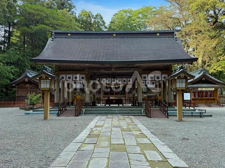 狭野神社（社殿） 狭野神社,社殿,狭野尊の写真素材