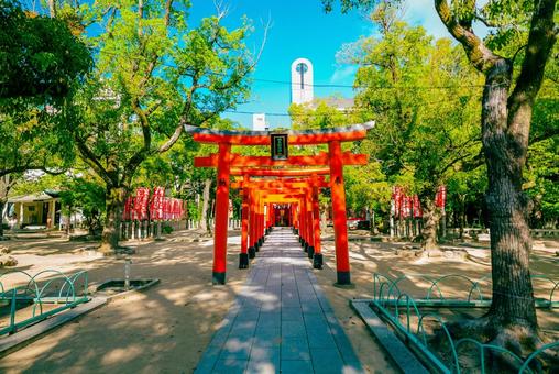 【兵庫】湊川神社 兵庫,神戸,湊川神社の写真素材