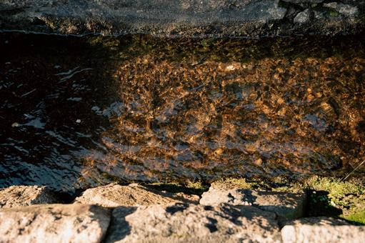 小川　 小川,長谷寺参道,水の写真素材