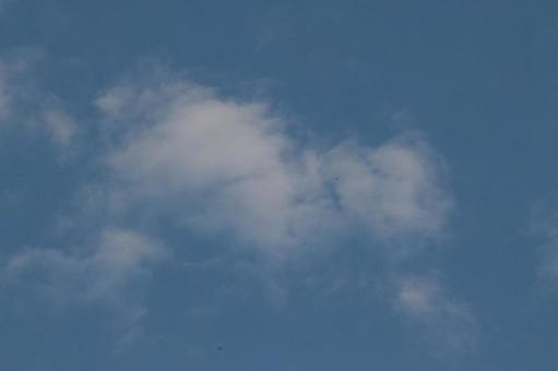 空に浮かぶ雲 空に浮かぶ雲の写真