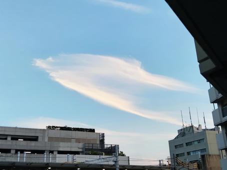 UFOの母船らしき雲 UFOの母船らしき雲 空,青空,晴れの写真素材
