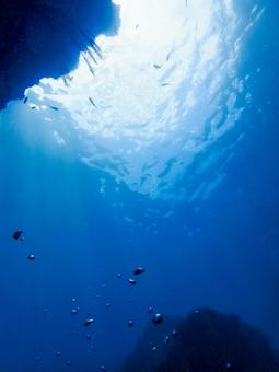 見上げた岩と太陽 見上げた岩と太陽 海底,光,海中の写真素材