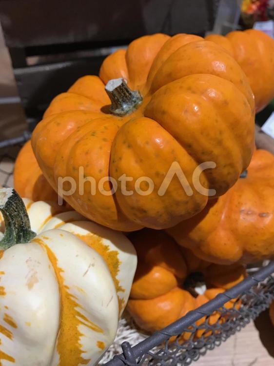 ハロウィン用かぼちゃ ハロウィン,カボチャ,南瓜の写真素材