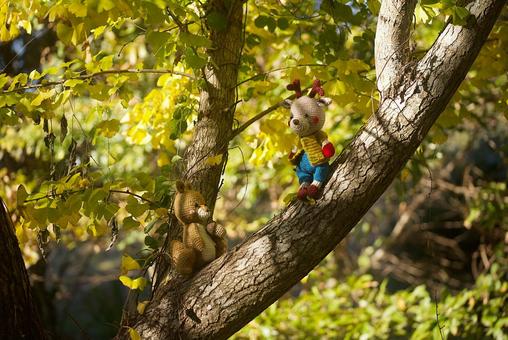 木で遊ぶ あみぐるみ,森,トナカイの写真素材