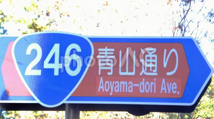 ２４６号線青山通りの表示板 青山通り,246号線,国道の写真素材