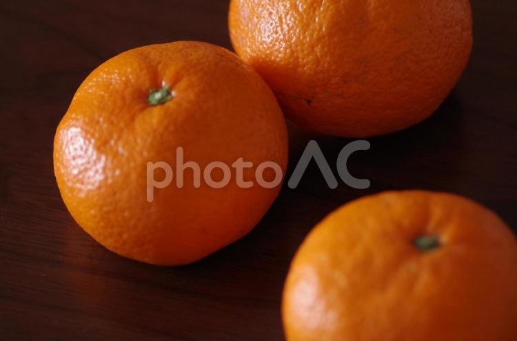 規格外の3個のみかん みかん,果物,規格外の写真素材