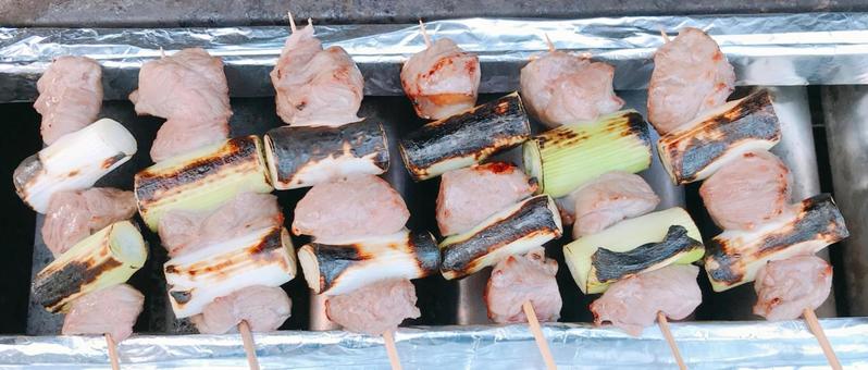 Photo, negima skewers, skewer, casilla skewers, 