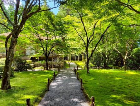 三千院有清園 三千院有清園 三千院,有清園,往生極楽院の写真素材