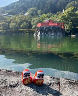 勝尾寺 勝尾寺,だるま,自然の写真素材