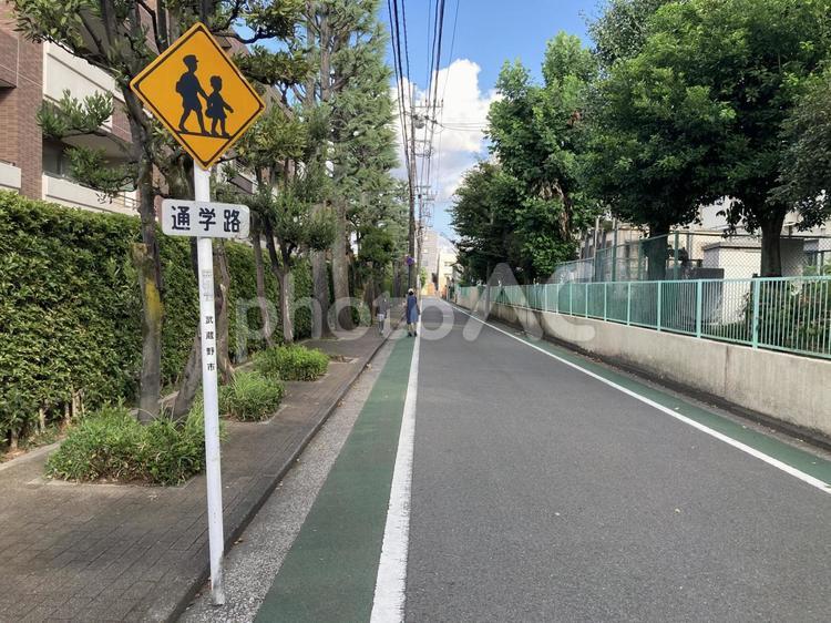 通学路の標識 道路,交通ルール,通学路の写真素材