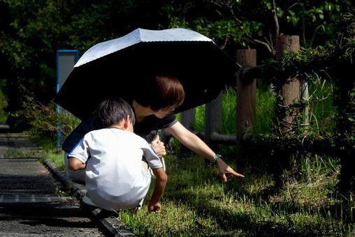 ＜素材＞夏の公園で自由研究に虫を探す家族 家族,親子,昆虫採集の写真素材