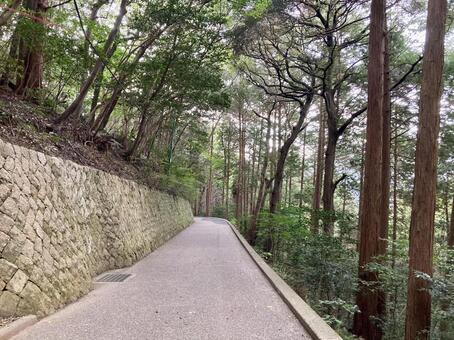 山道 山道,道,木の写真素材