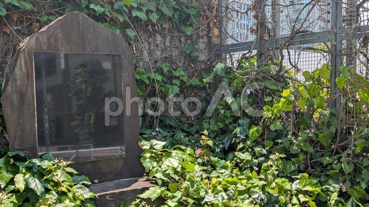 渋谷区「希望」の記念碑 希望,記念碑,渋谷の写真素材