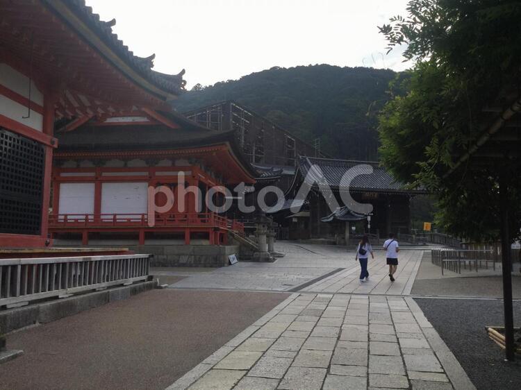 古都京都の文化財（清水寺） 清水寺,古都京都の文化財,世界遺産の写真素材