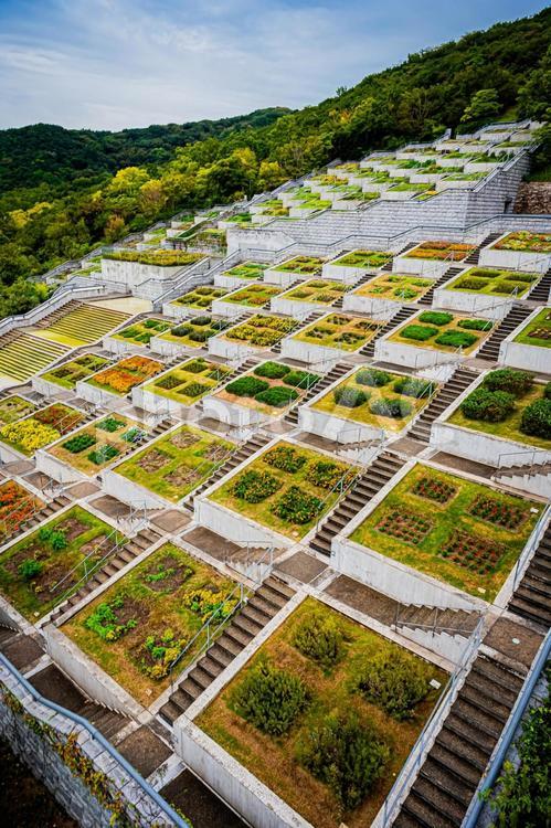 兵庫　淡路島　淡路夢舞台 兵庫県,兵庫,淡路島の写真素材
