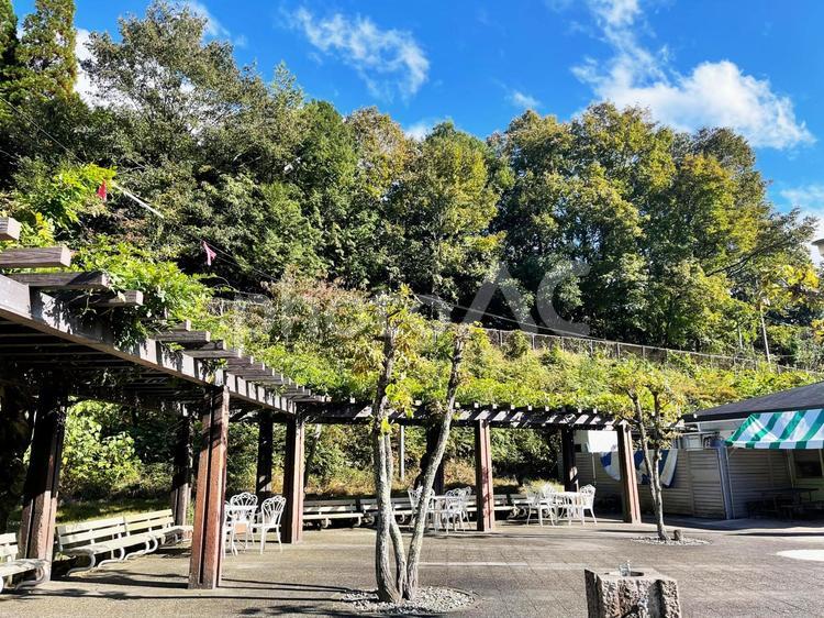 自然と調和する憩いの場所 休憩所,テラス席,木漏れ日の写真素材
