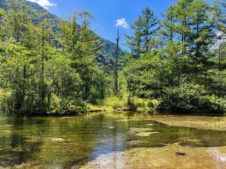 真夏の田代池 上高地 真夏の田代池 上高地 上高地,田代池,池の写真素材