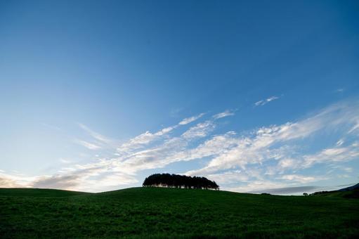 緑の丘にシルエットとなって佇む木々の姿 丘,草原,丘陵の写真素材